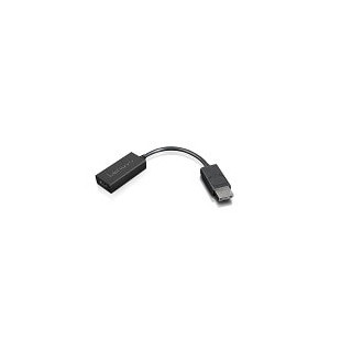 Lenovo 4X90R61023 câble vidéo et adaptateur 0,225 m DisplayPort HDMI Type A (Standard) Noir