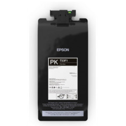 Epson UltraChrome Pro6 cartouche d'encre 1 pièce(s) Original Noir