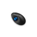 Kensington Pro Fit Ergo TB450 souris Bureau Droitier RF sans fil + Bluetooth Trackball 1600 DPI