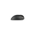 Kensington Pro Fit Ergo TB450 souris Bureau Droitier RF sans fil + Bluetooth Trackball 1600 DPI
