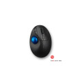 Kensington Pro Fit Ergo TB450 souris Bureau Droitier RF sans fil + Bluetooth Trackball 1600 DPI