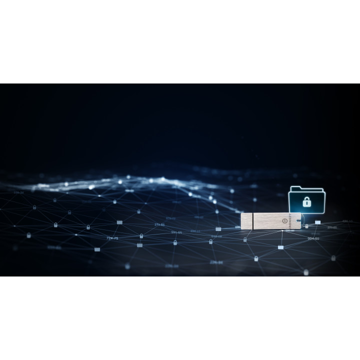 Kingston Technology IronKey 64Go Enterprise S1000 Encrypted USB 3.0 FIPS 140-2 Level 3