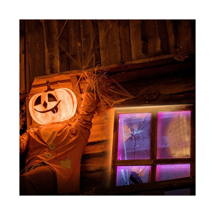 TP-Link Tapo L920-5 LED lumineuse Ruban lumineux universel 5000 mm