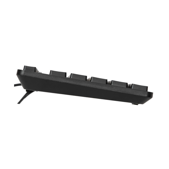 Targus AKB30AMUK clavier Bureau USB QWERTY Anglais britannique