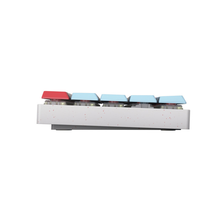 CHERRY MX-LP 2.1 Compact Wireless clavier Jouer RF sans fil + Bluetooth AZERTY Français Blanc