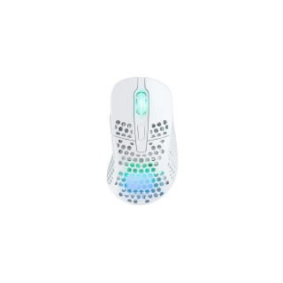CHERRY XTRFY M4 RGB souris Gaming Droitier RF Wireless + USB Type-C Optique 19000 DPI