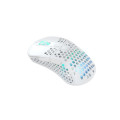 CHERRY XTRFY M4 RGB souris Gaming Droitier RF Wireless + USB Type-C Optique 19000 DPI