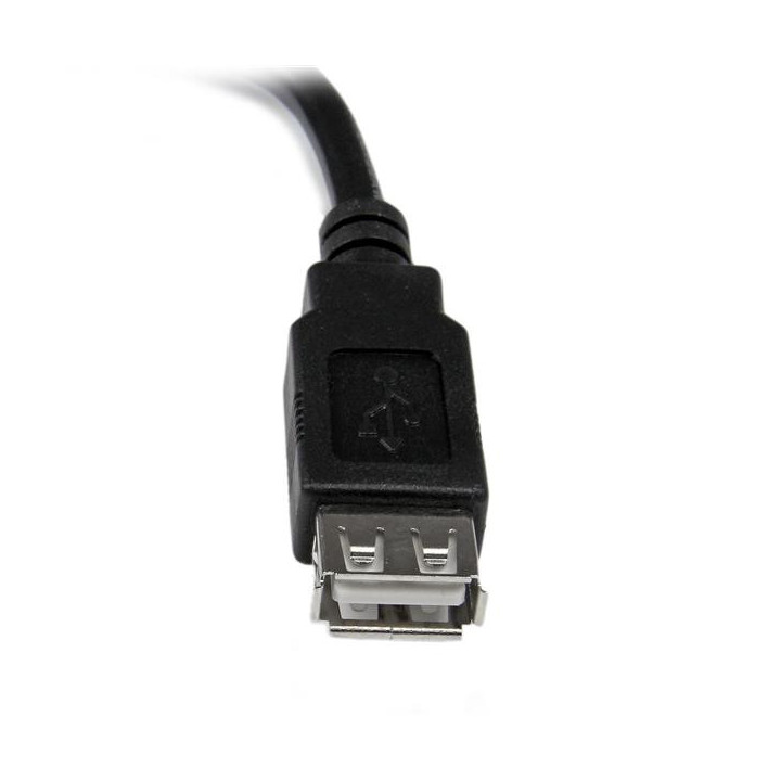 StarTech.com Câble d'extension USB 2.0 de 15cm - Rallonge USB A vers A - M/F