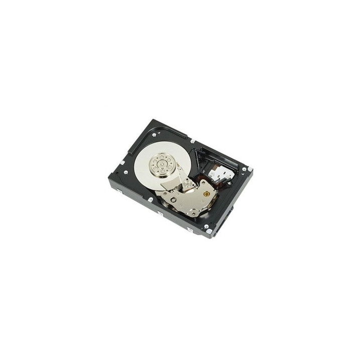 DELL 400-AUPW disque dur 1 To 7200 tr/min 3.5" Série ATA III