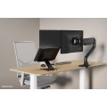 Neomounts DS20-740BL1 Support pour ordinateur portable 11-15" - ajustement en hauteur - pliable - compact - universel