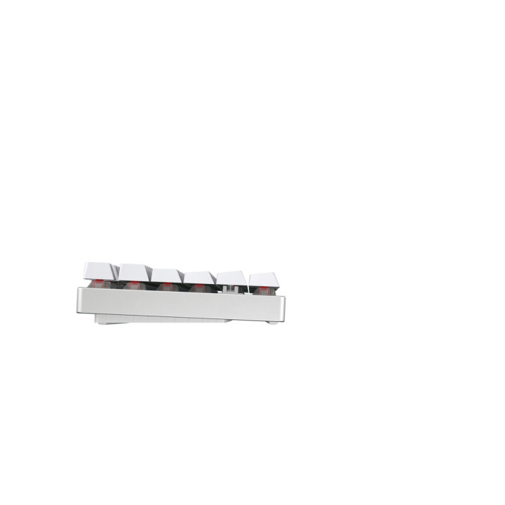 CHERRY MX 8.2 TKL Wireless RGB clavier Jouer RF sans fil + Bluetooth AZERTY Français Blanc