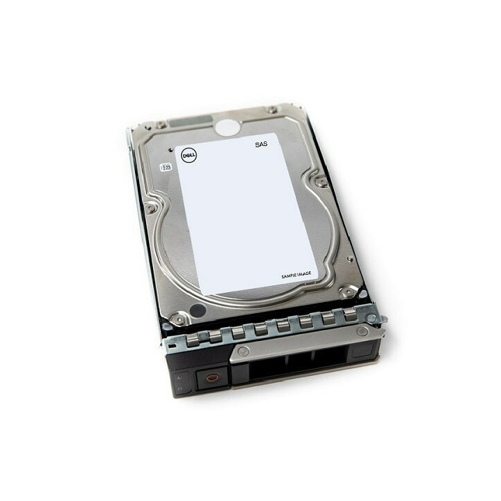 DELL 161-BCJX disque dur 12 To 7200 tr/min 3.5" NL-SAS