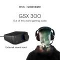 GSX 300