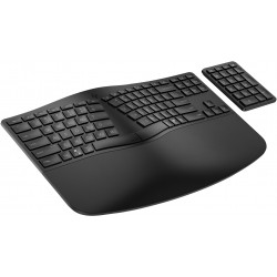 HP STORE 3PL clavier Maison RF sans fil + Bluetooth Noir