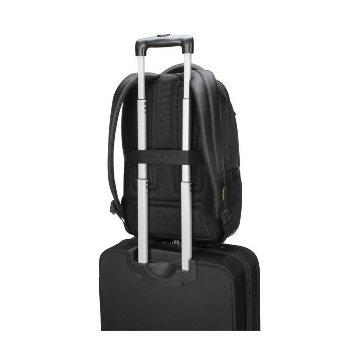 Targus Citygear 43,9 cm (17.3") Sac à dos Noir