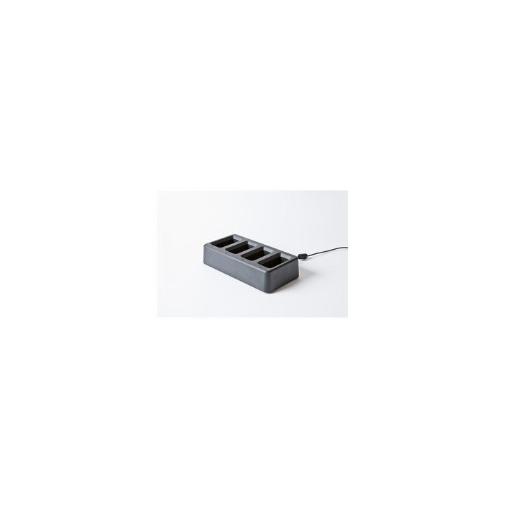 Brother PA-4BC-4000EU Imprimante portable Gris Secteur Intérieure