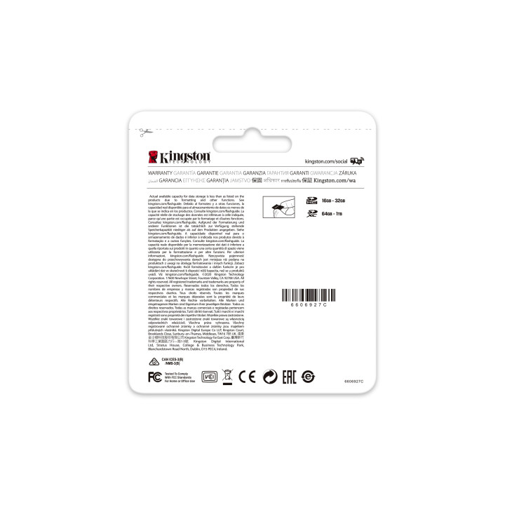 Kingston Technology Canvas Go! Plus Carte microSDXC Canvas Go Plus 170R A2 U3 V30 de 256 Go sans ADP