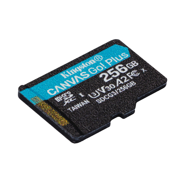 Kingston Technology Canvas Go! Plus Carte microSDXC Canvas Go Plus 170R A2 U3 V30 de 256 Go sans ADP