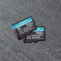Kingston Technology Canvas Go! Plus Carte microSDXC Canvas Go Plus 170R A2 U3 V30 de 256 Go sans ADP
