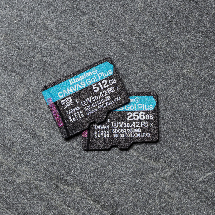 Kingston Technology Carte microSDXC Canvas Go Plus 170R A2 U3 V30 de 512 Go sans ADP