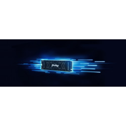 Kingston Technology 4000G FURY RENEGADE M.2 2280 NVMe SSD