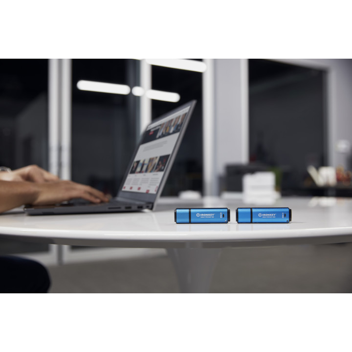 Kingston Technology IronKey 256Go Vault Privacy 50 chiffrée AES-256, FIPS 197