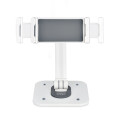 StarTech.com Support de Tablettes Réglable pour Bureau - Support Mural - Capacité 1kg - Support Universel Ergonomique et Arti