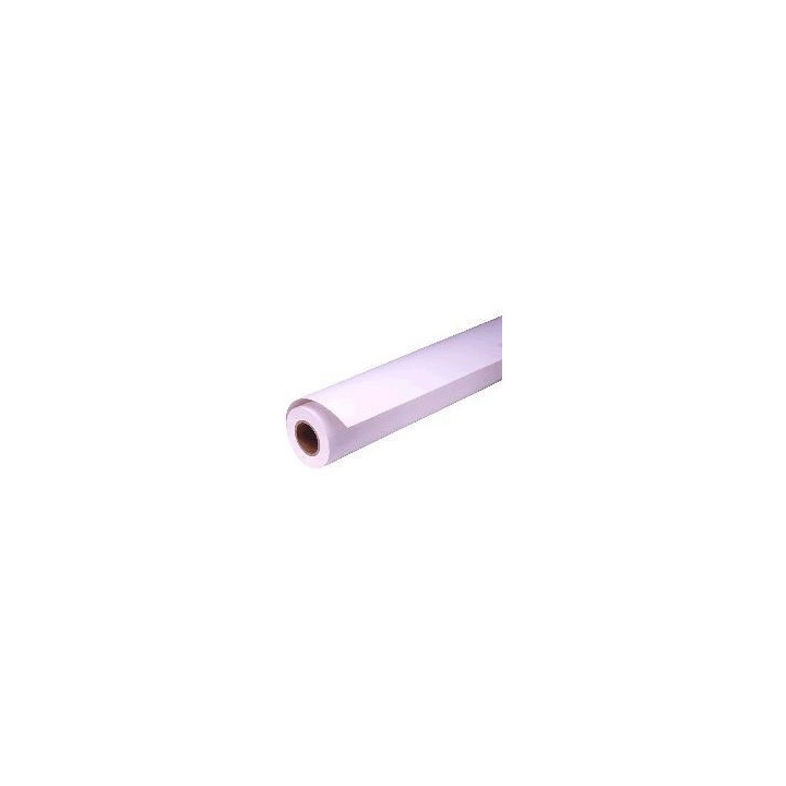 Epson Pap Proofing Blanc Semi-Mat 256g 44" (1,118x30,5m)