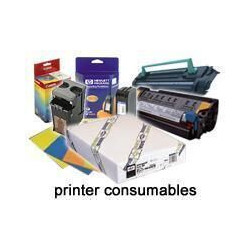 Epson Pap Photo Premium Glacé (250) 44" (1,118x30,5m)