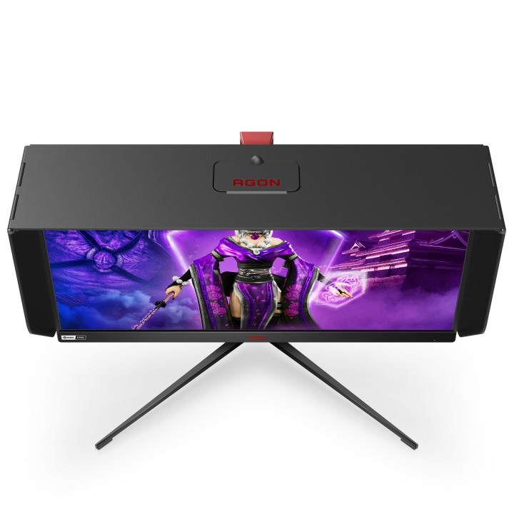 AOC AG254FG écran plat de PC 62,2 cm (24.5") 1920 x 1080 pixels Full HD LED Noir