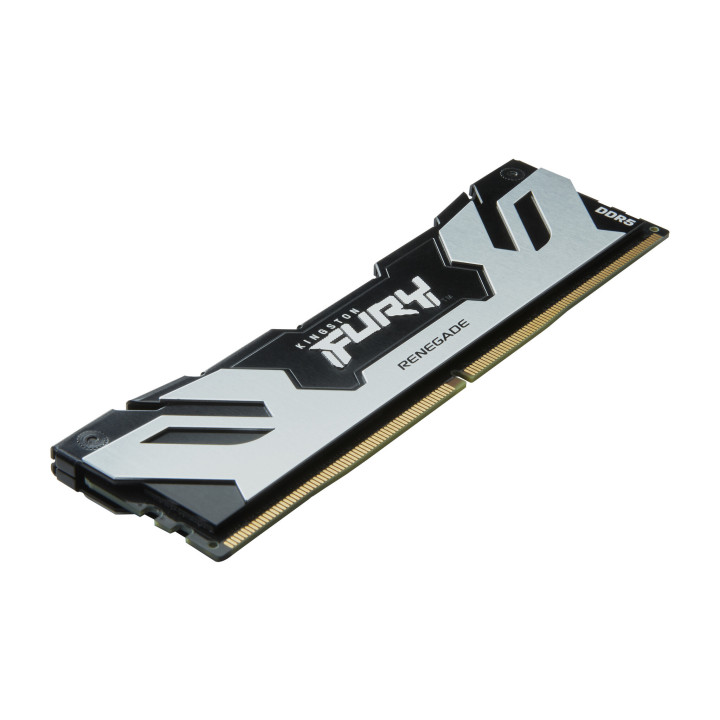 Kingston Technology FURY 48 Go 7200 MT/s DDR5 CL38 DIMM (kit de 2) Renegade Argent XMP