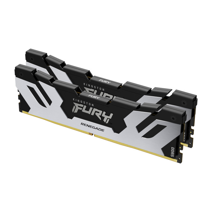 Kingston Technology FURY 48 Go 7200 MT/s DDR5 CL38 DIMM (kit de 2) Renegade Argent XMP