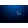 Kingston Technology IronKey 32Go USB-C Vault Privacy 50C chiffrée AES-256, FIPS 197