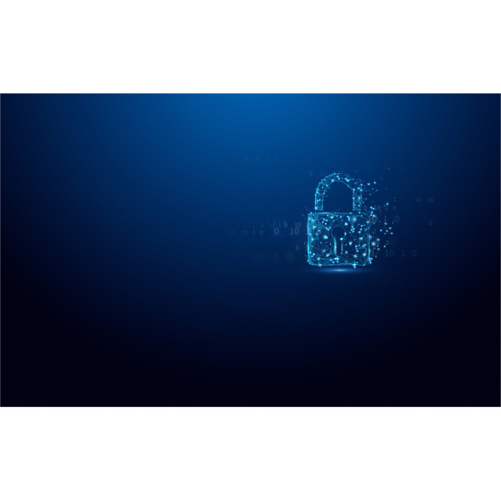 Kingston Technology IronKey 64Go USB-C Vault Privacy 50C chiffrée AES-256, FIPS 197
