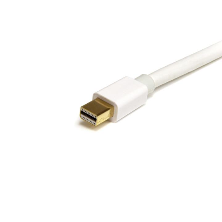 StarTech.com Câble Mini DisplayPort de 1m - Vidéo Ultra HD 4K x 2K - Câble Mini DisplayPort 1.2 - Câble Mini DP vers Mini D
